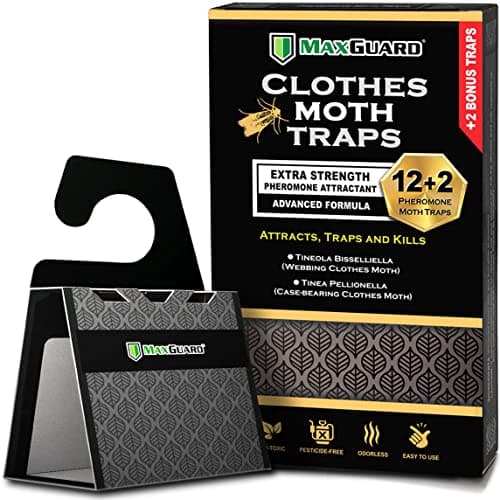 MaxGuard Clothes Moth Traps, Extra Strength